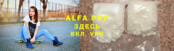 прущие грибы Богородицк