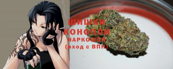 прущие грибы Богородицк