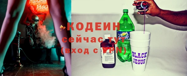 прущие грибы Богородицк