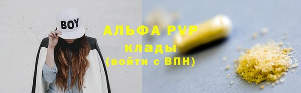 прущие грибы Богородицк