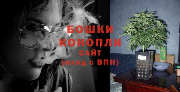 прущие грибы Богородицк