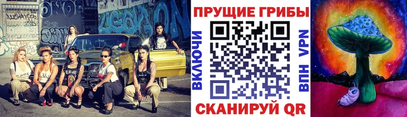 как найти наркотики  Сланцы  Псилоцибиновые грибы Psilocybe 